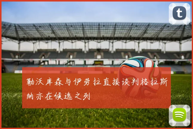 勒沃库森与伊劳拉直接谈判格拉斯纳亦在候选之列
