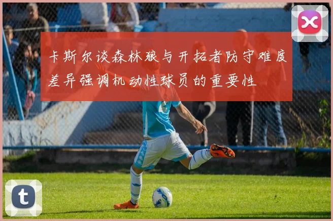 卡斯尔谈森林狼与开拓者防守难度差异强调机动性球员的重要性